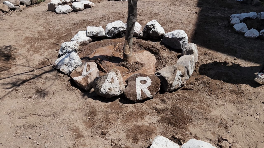 Revive tu parque asa yaravi