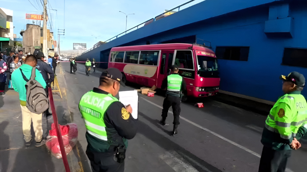 Proyecto nuevo 29